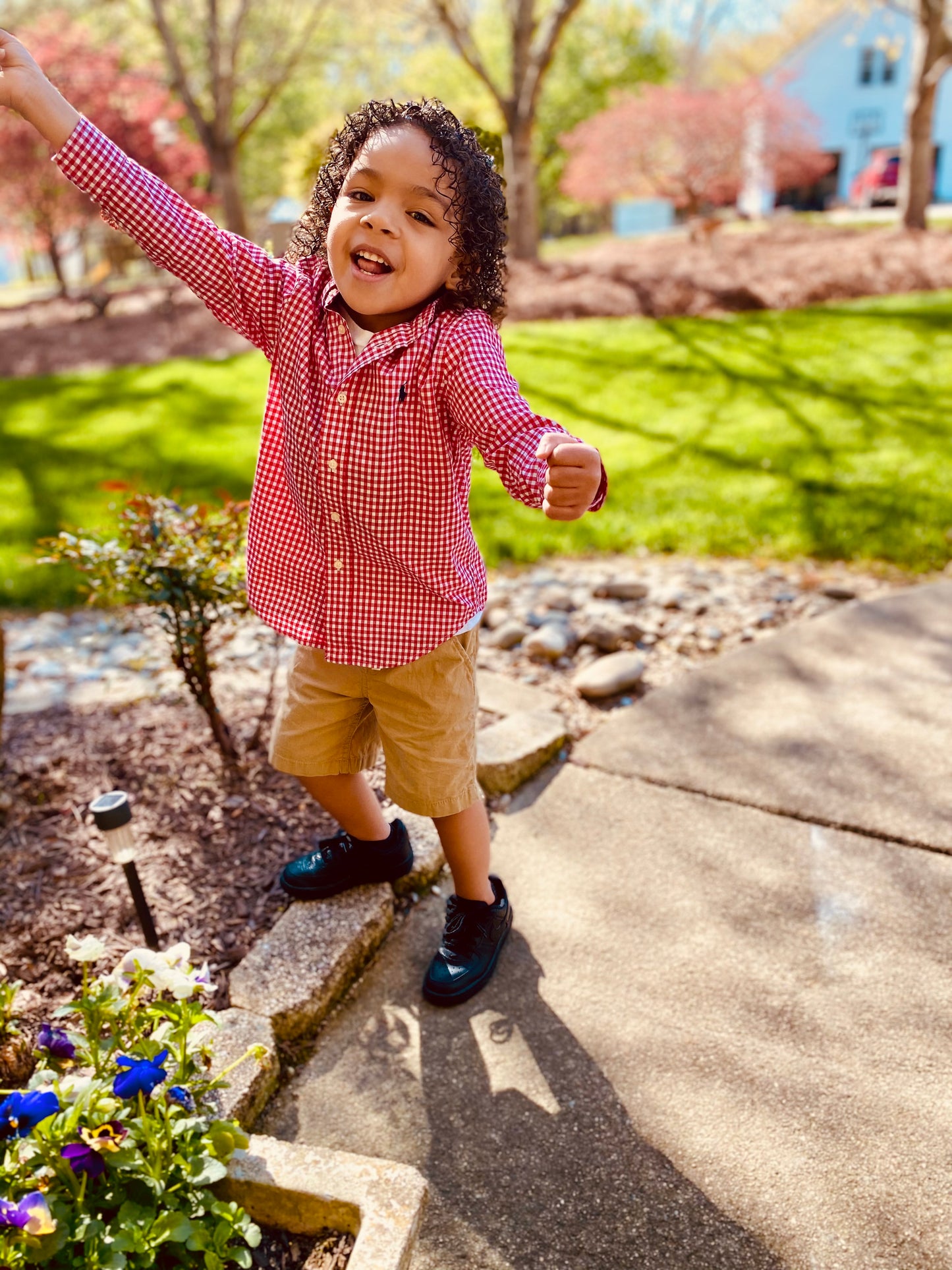 My Joy