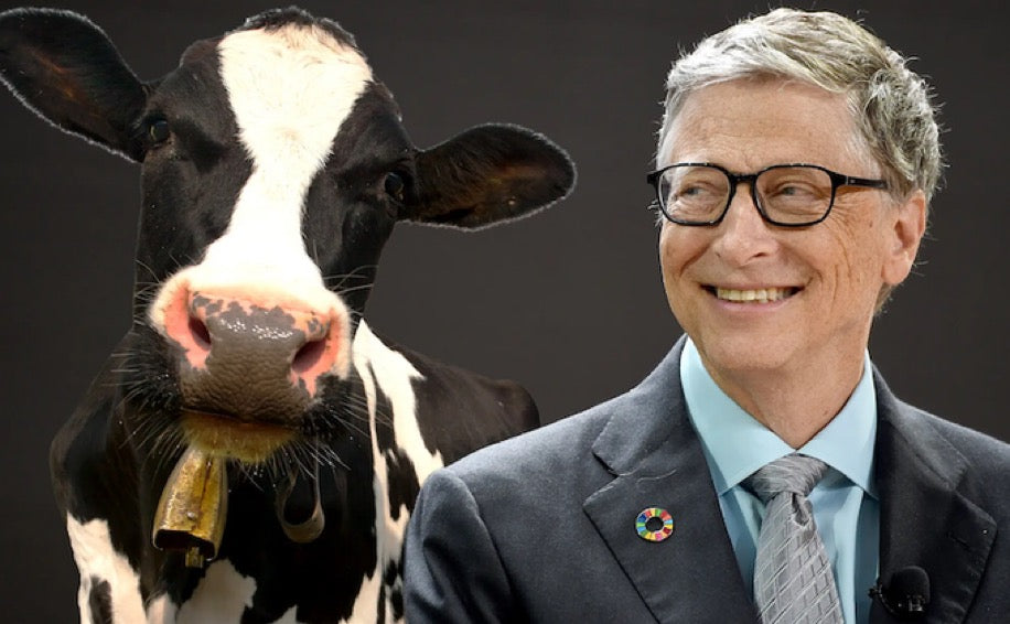 To Hell With Bill Gates Magazine