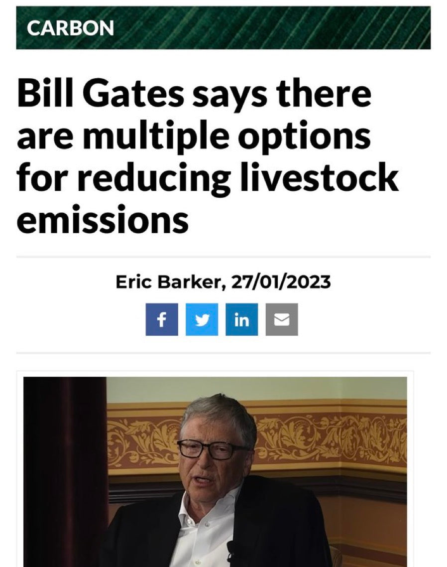 To Hell With Bill Gates Magazine