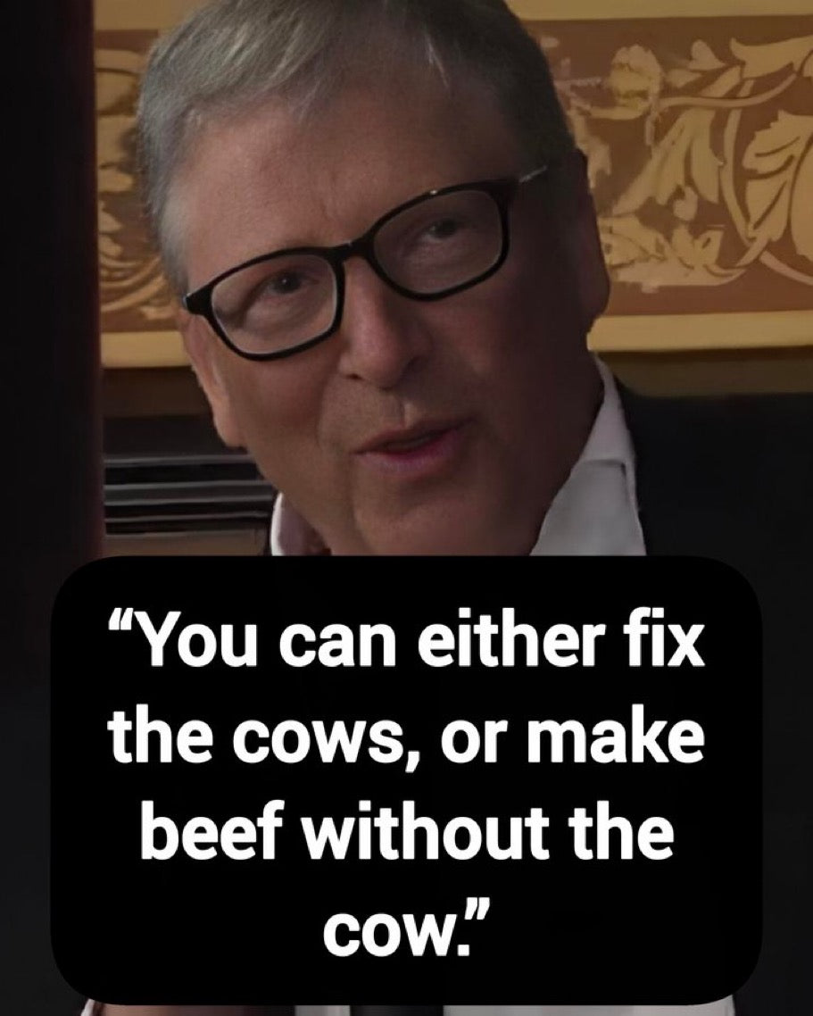 To Hell With Bill Gates Magazine