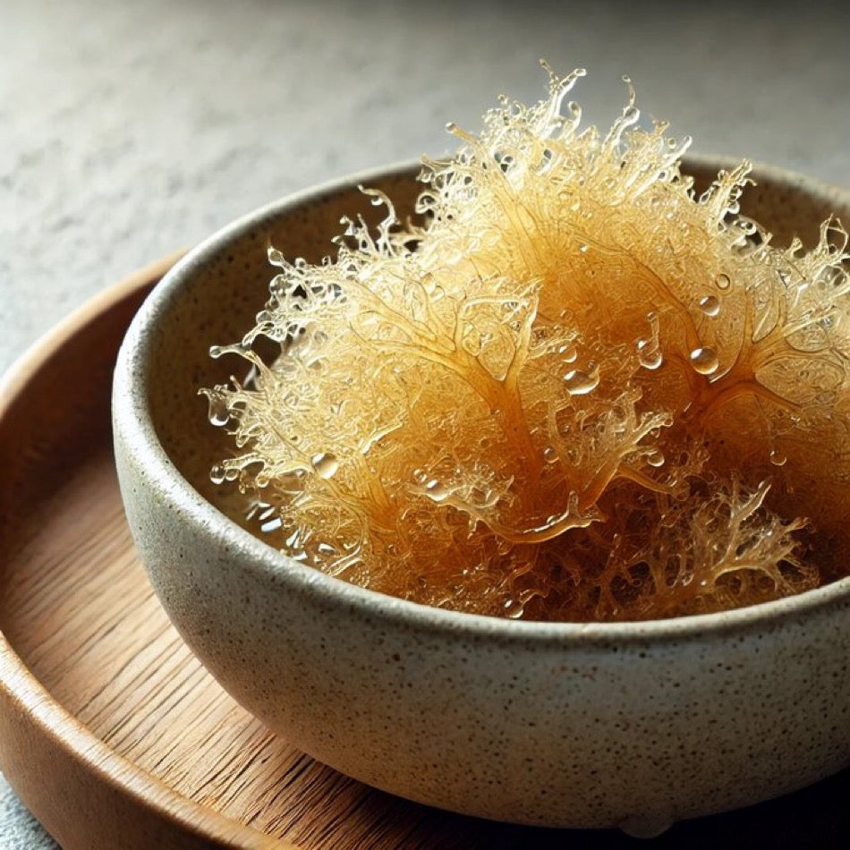 Sea Moss Control What You Eat You’ll Control Your Outcome In Life Magazine