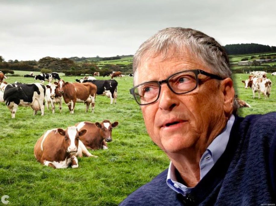 To Hell With Bill Gates Magazine