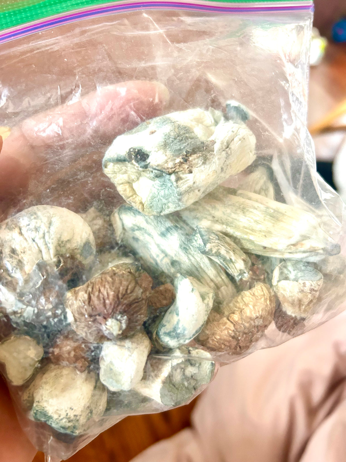Mushrooms