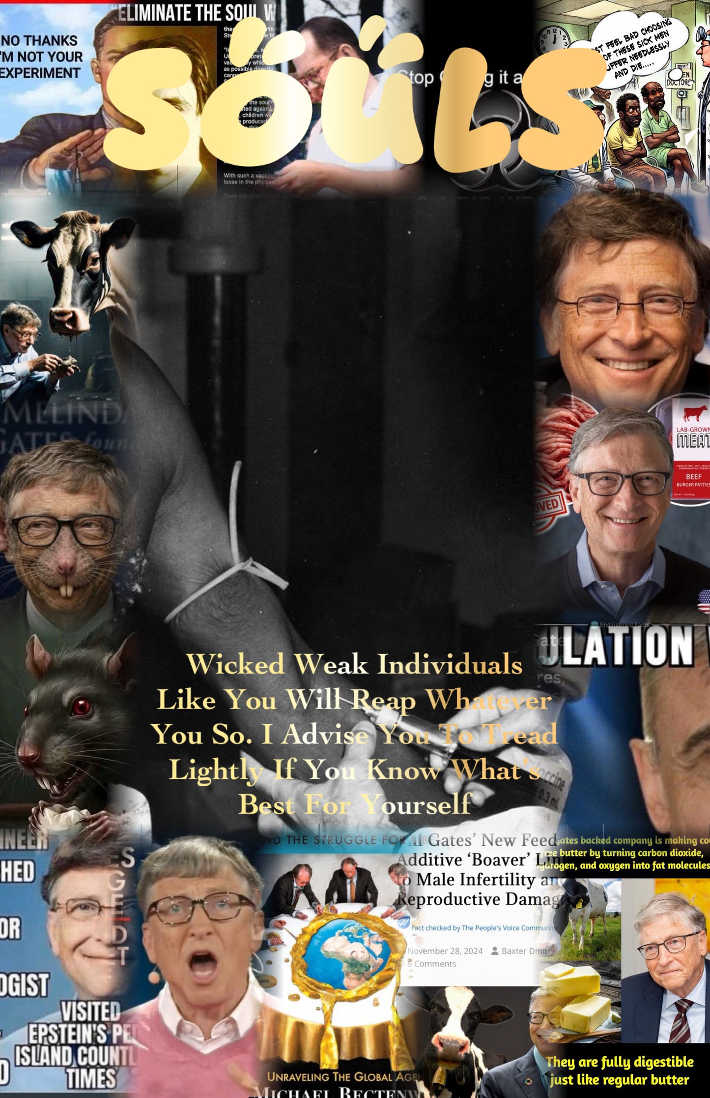 To Hell With Bill Gates Magazine