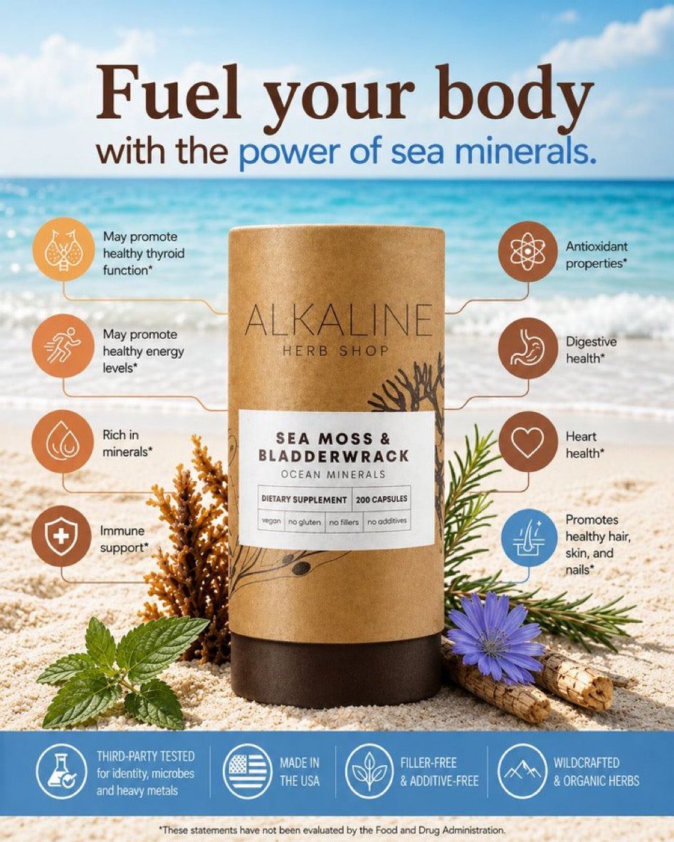Sea Moss Control What You Eat You’ll Control Your Outcome In Life Magazine