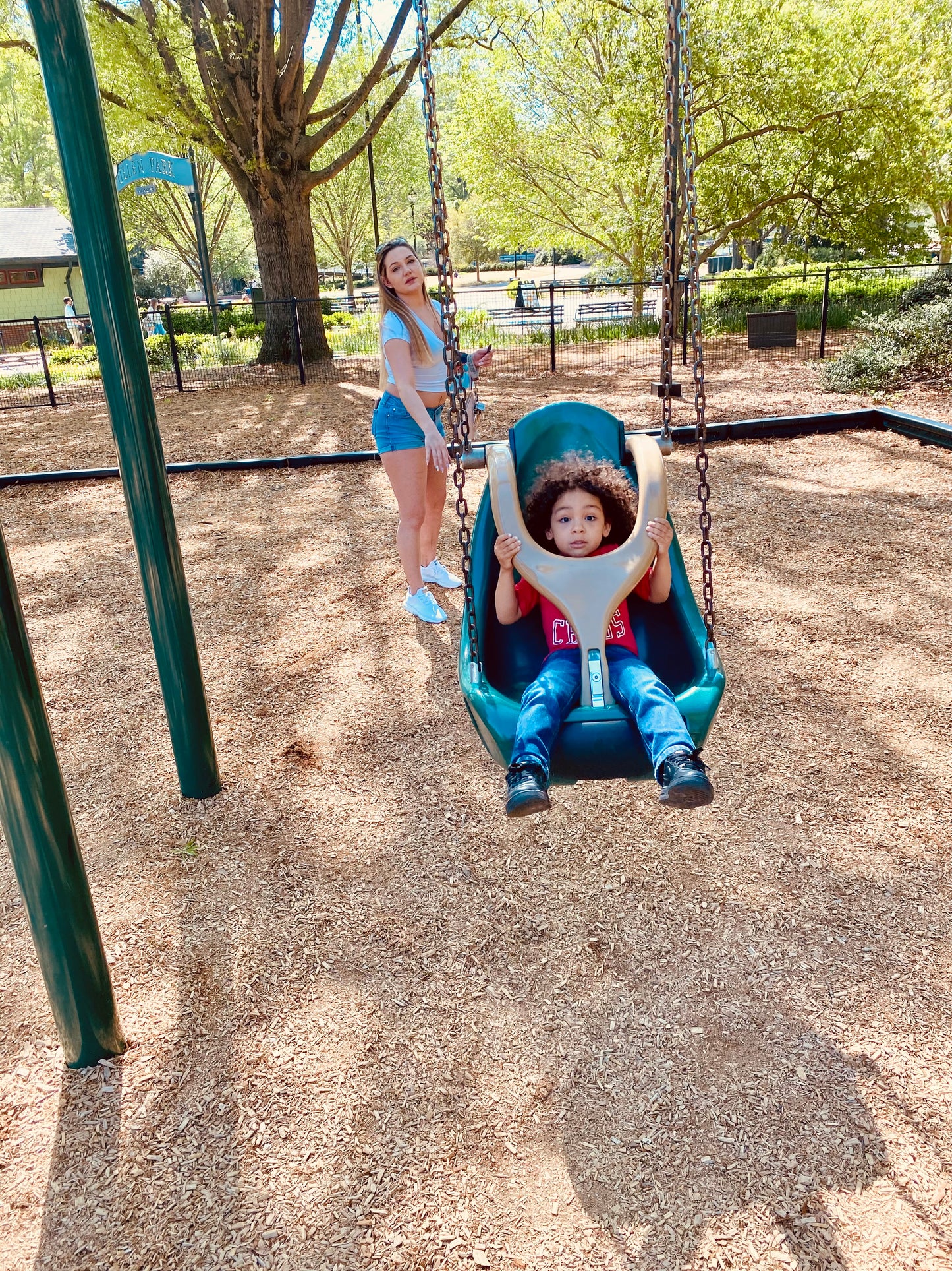 The Life of My Favorite Chicken