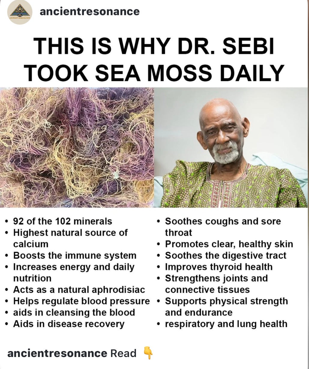 Sea Moss Control What You Eat You’ll Control Your Outcome In Life Magazine