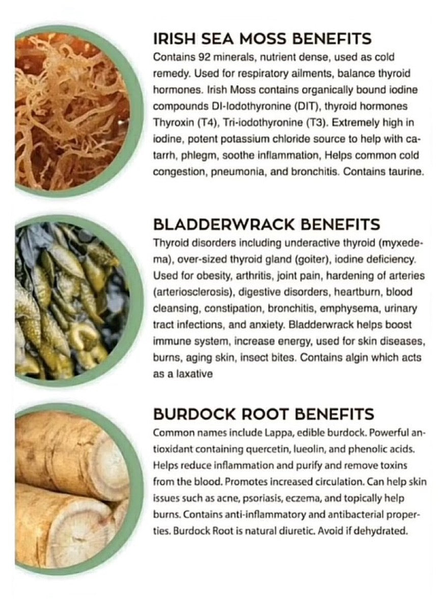 Sea Moss Control What You Eat You’ll Control Your Outcome In Life Magazine