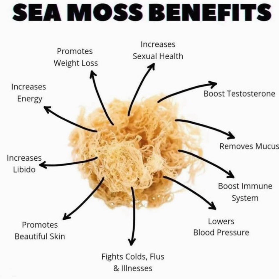 Sea Moss Control What You Eat You’ll Control Your Outcome In Life Magazine