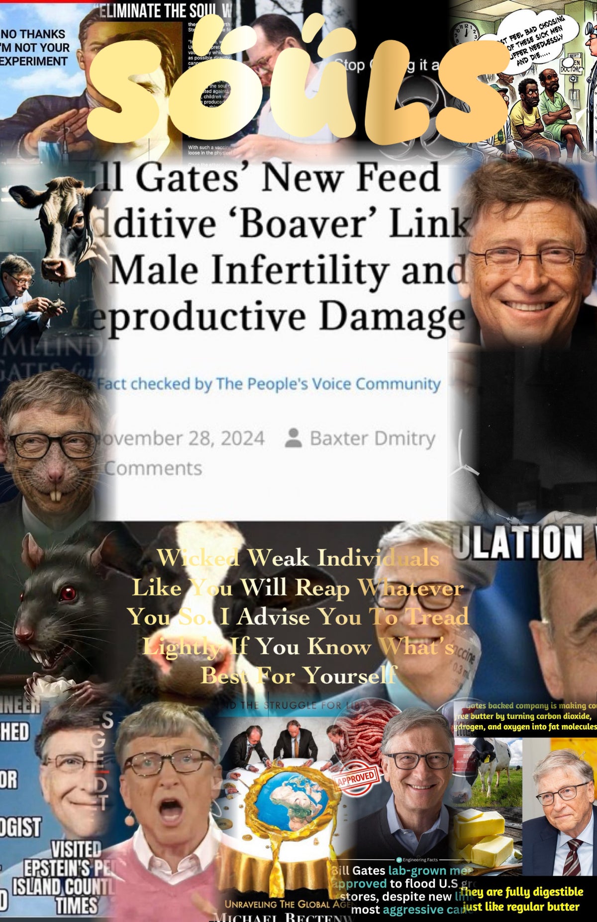 To Hell With Bill Gates Magazine