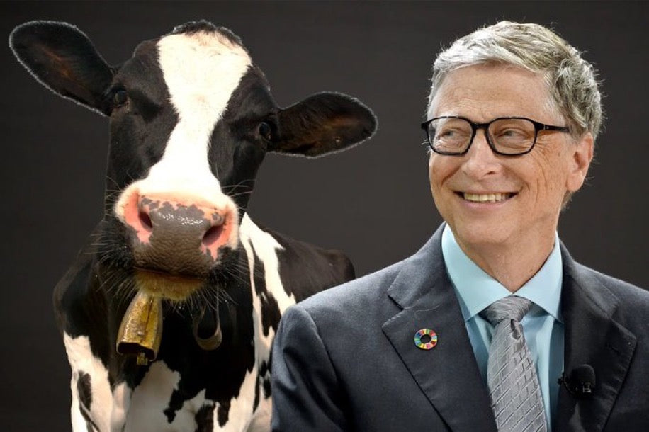 To Hell With Bill Gates Magazine