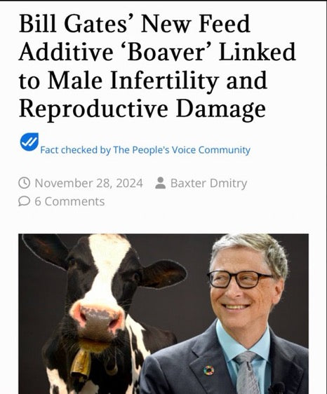 To Hell With Bill Gates Magazine