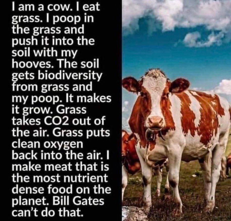 To Hell With Bill Gates Magazine