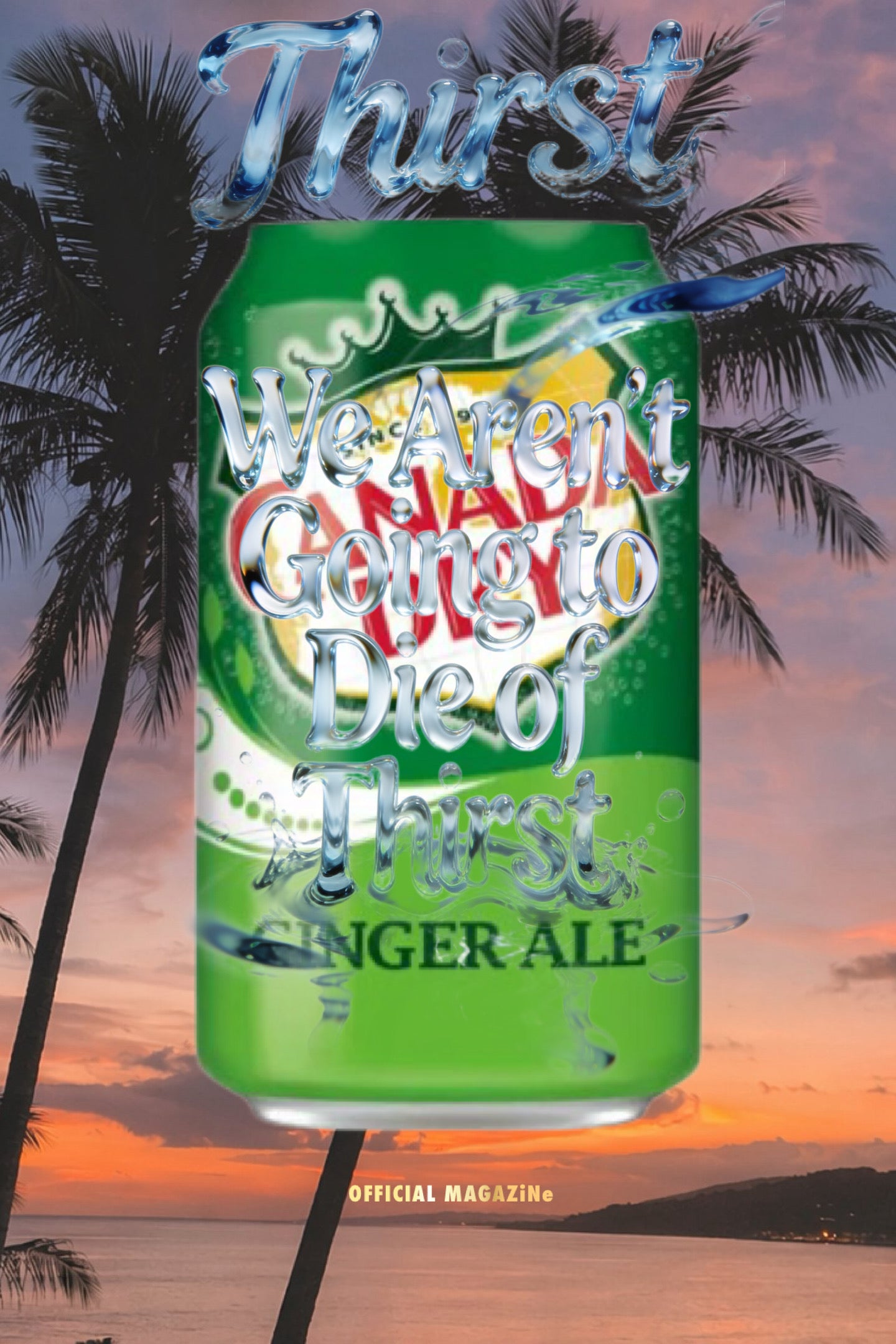 Canada Dry Ginger Ale