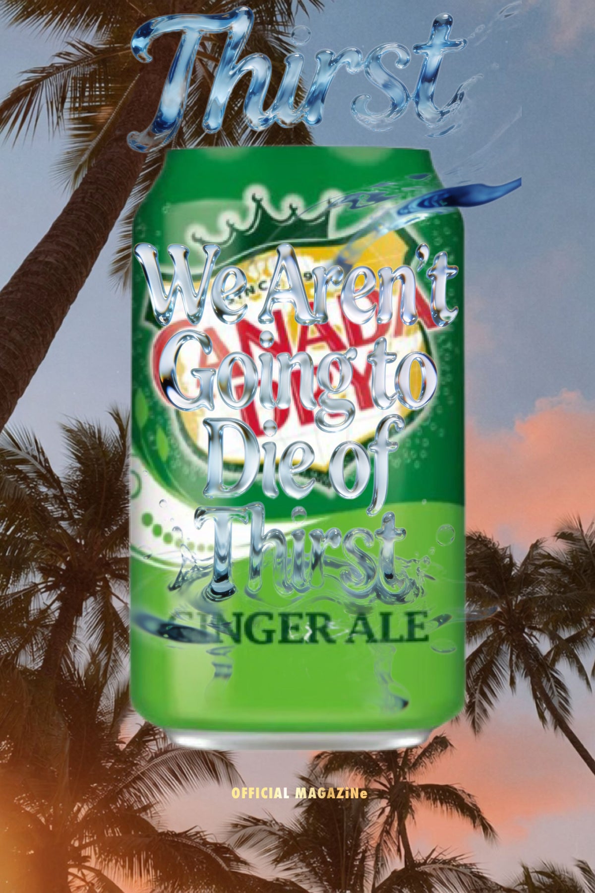 Canada Dry Ginger Ale