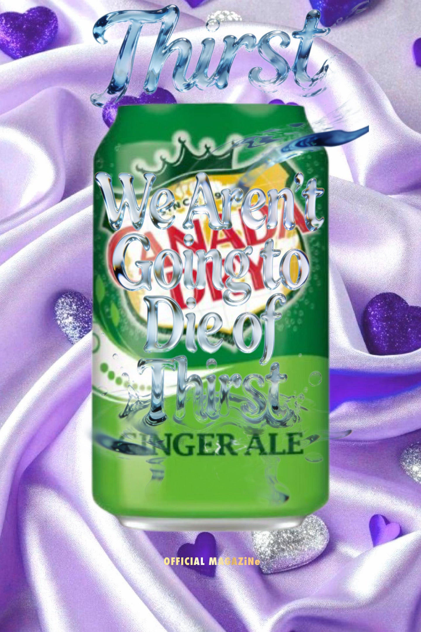 Canada Dry Ginger Ale