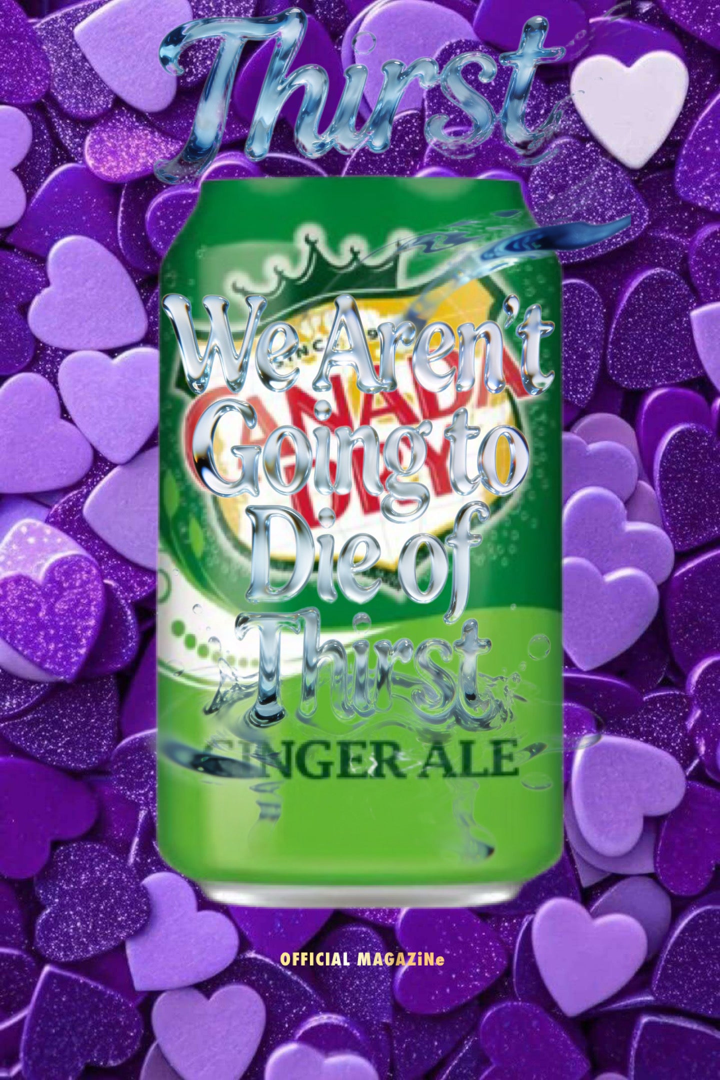 Canada Dry Ginger Ale