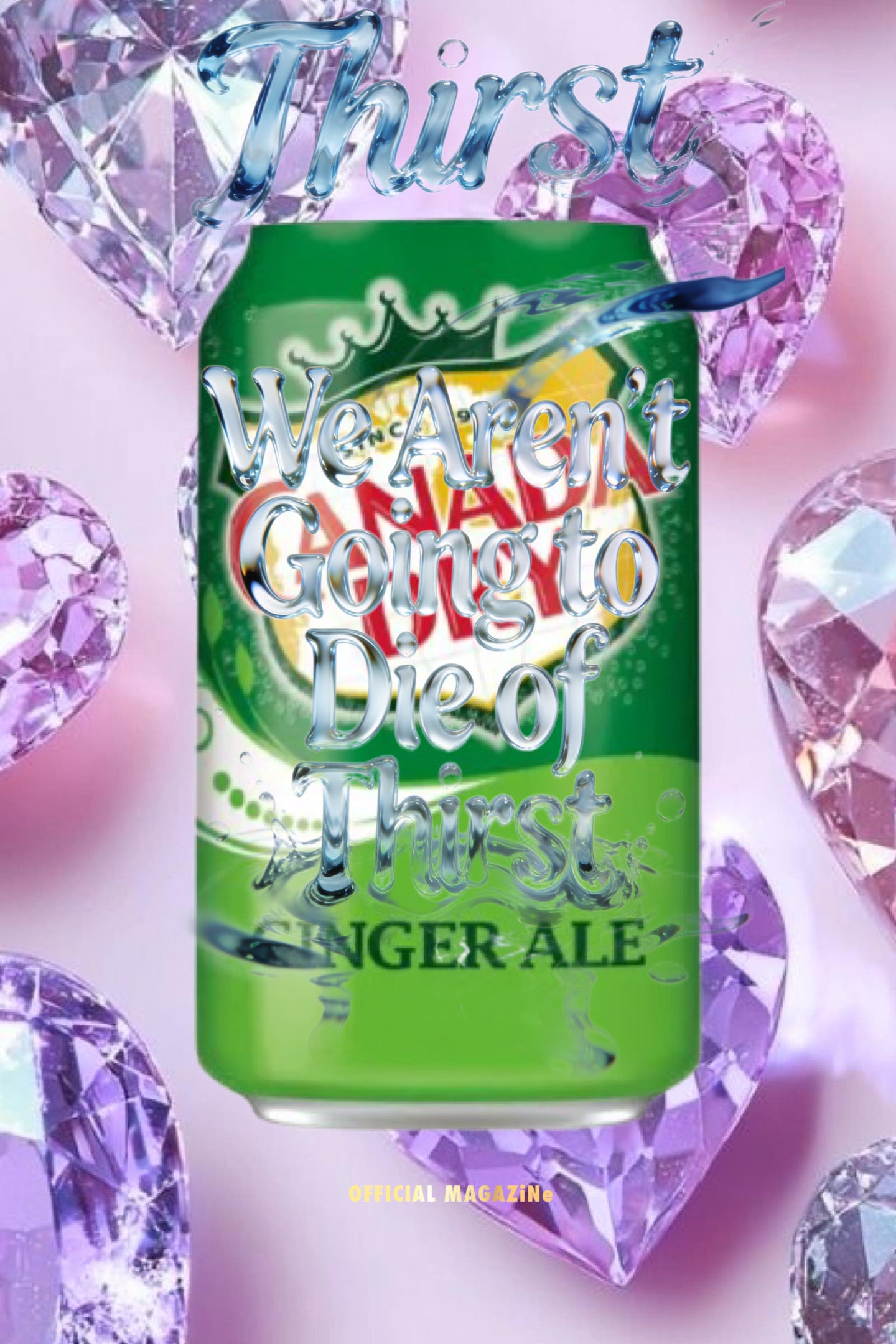 Canada Dry Ginger Ale