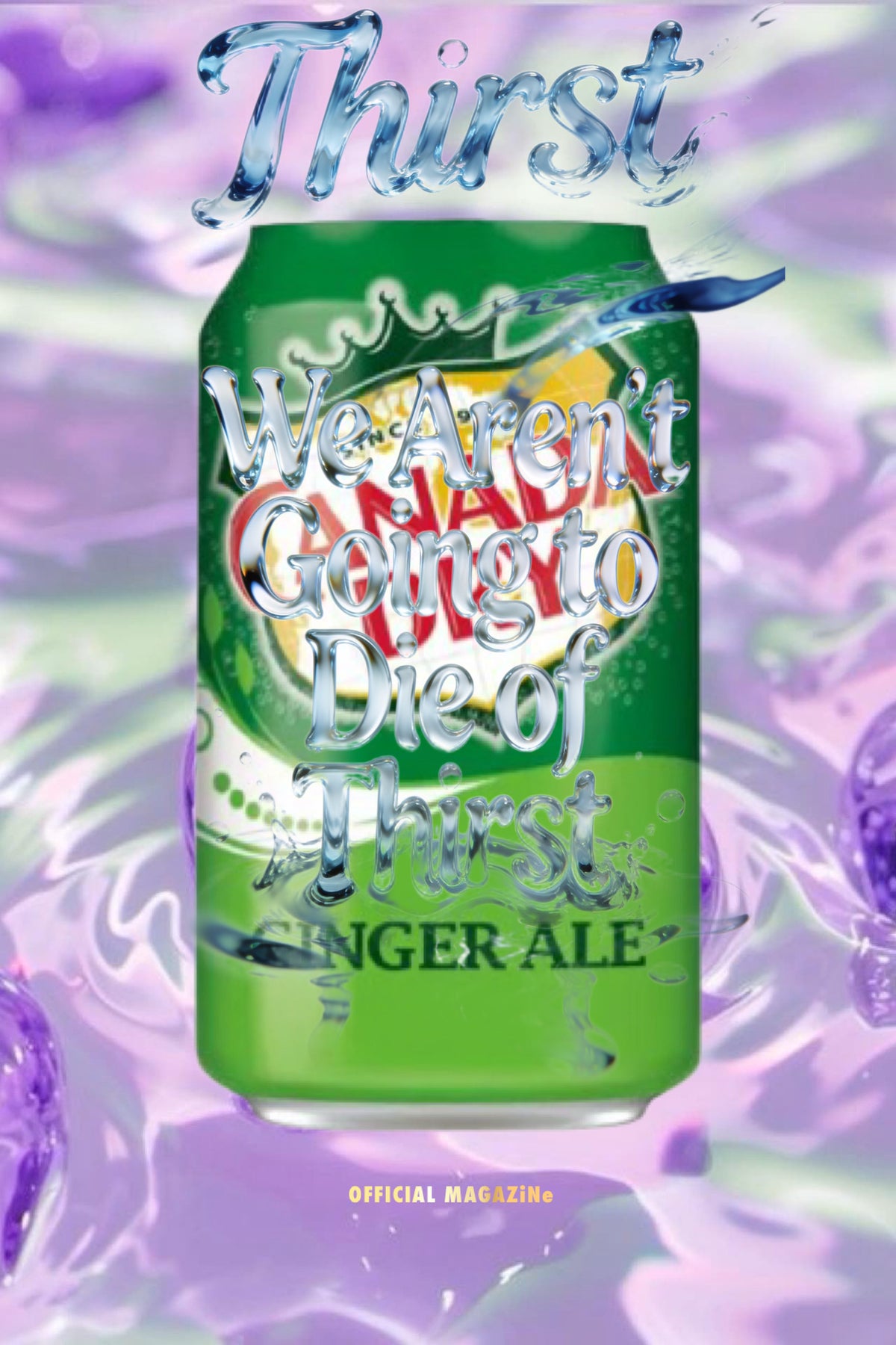 Canada Dry Ginger Ale