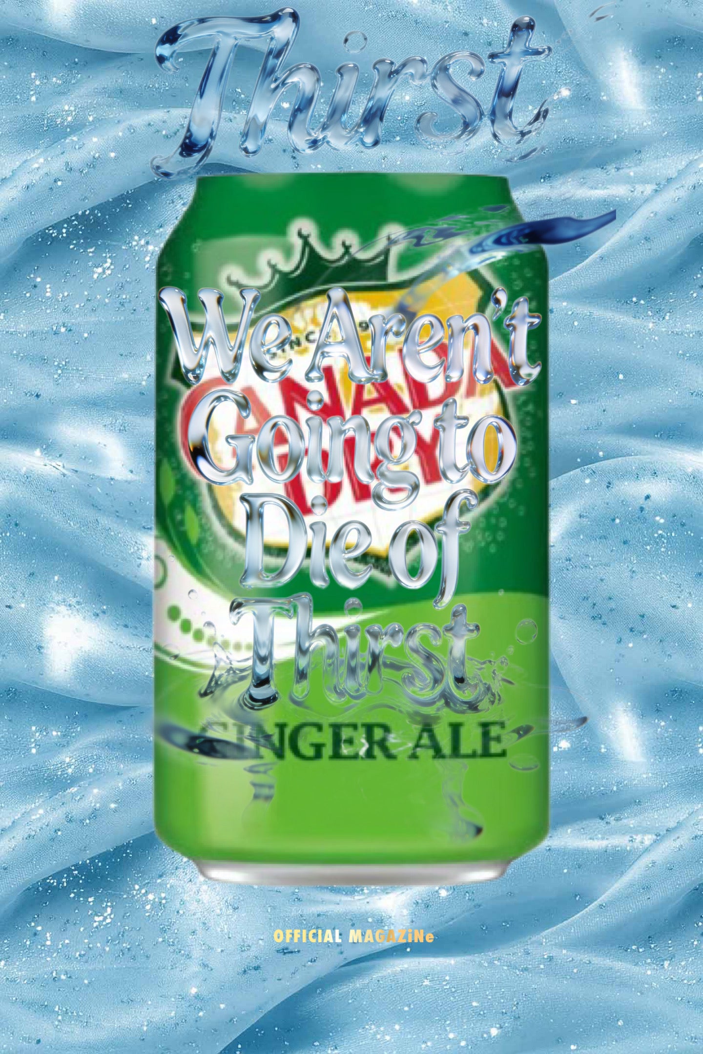 Canada Dry Ginger Ale