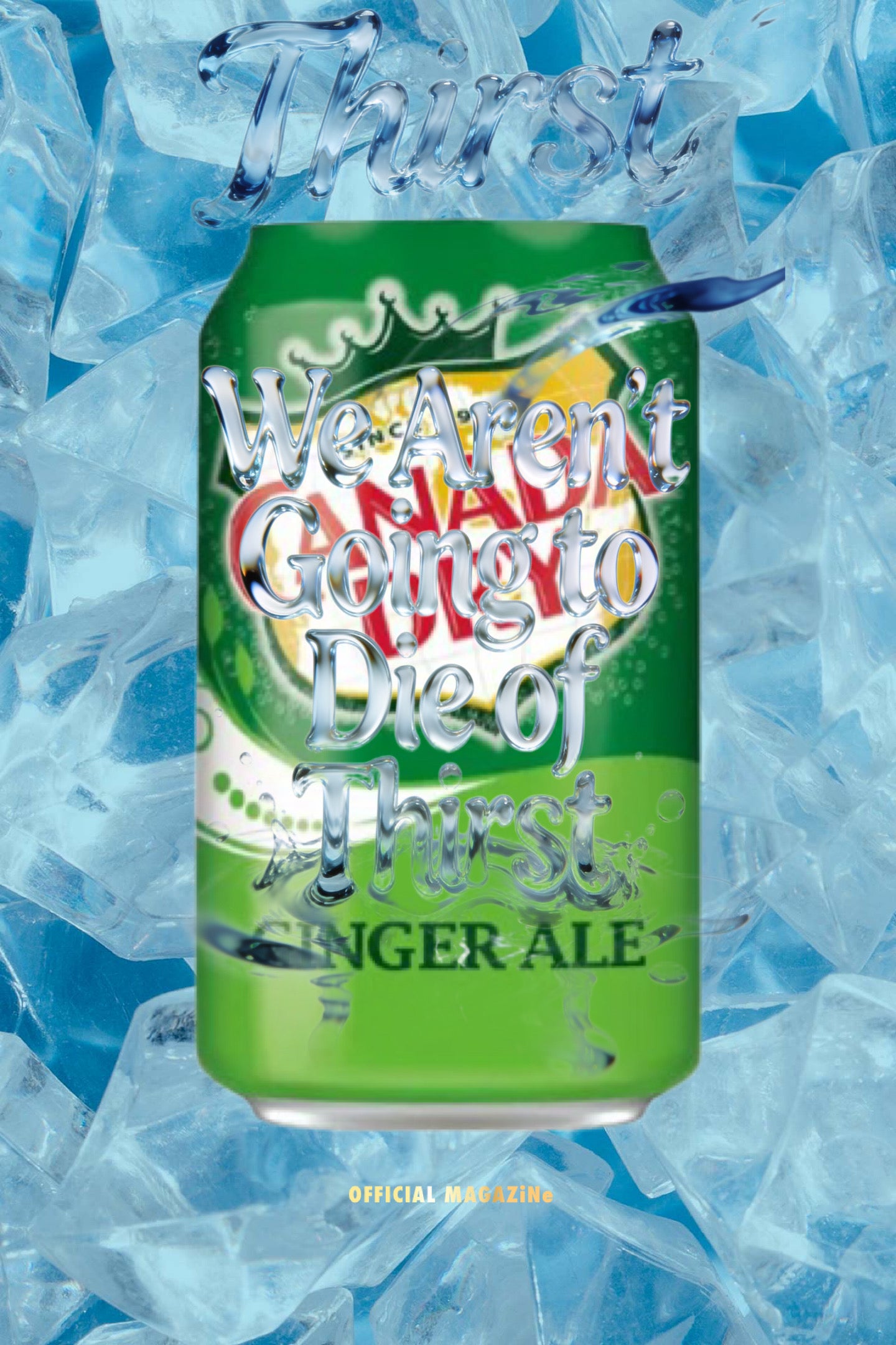 Canada Dry Ginger Ale
