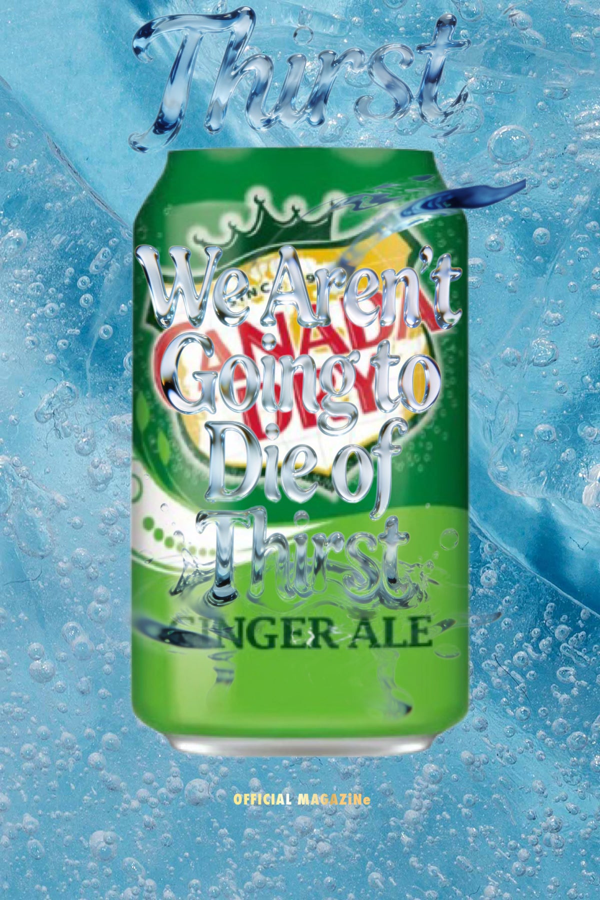 Canada Dry Ginger Ale