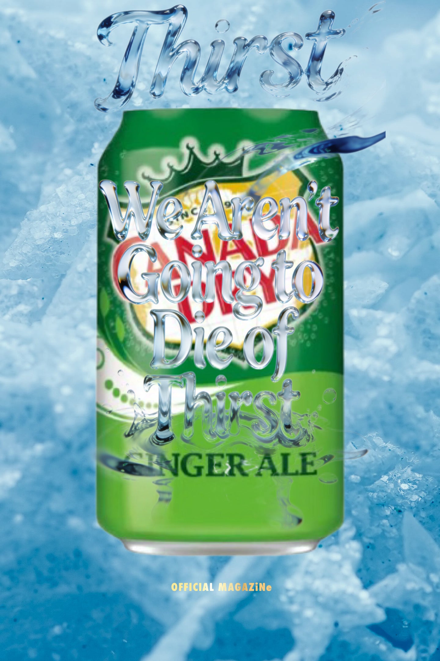 Canada Dry Ginger Ale