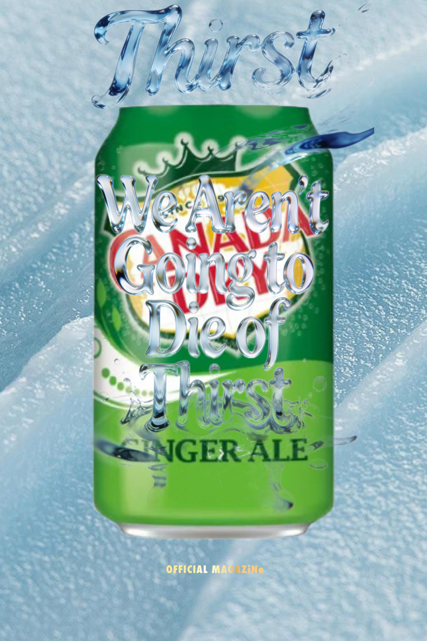 Canada Dry Ginger Ale