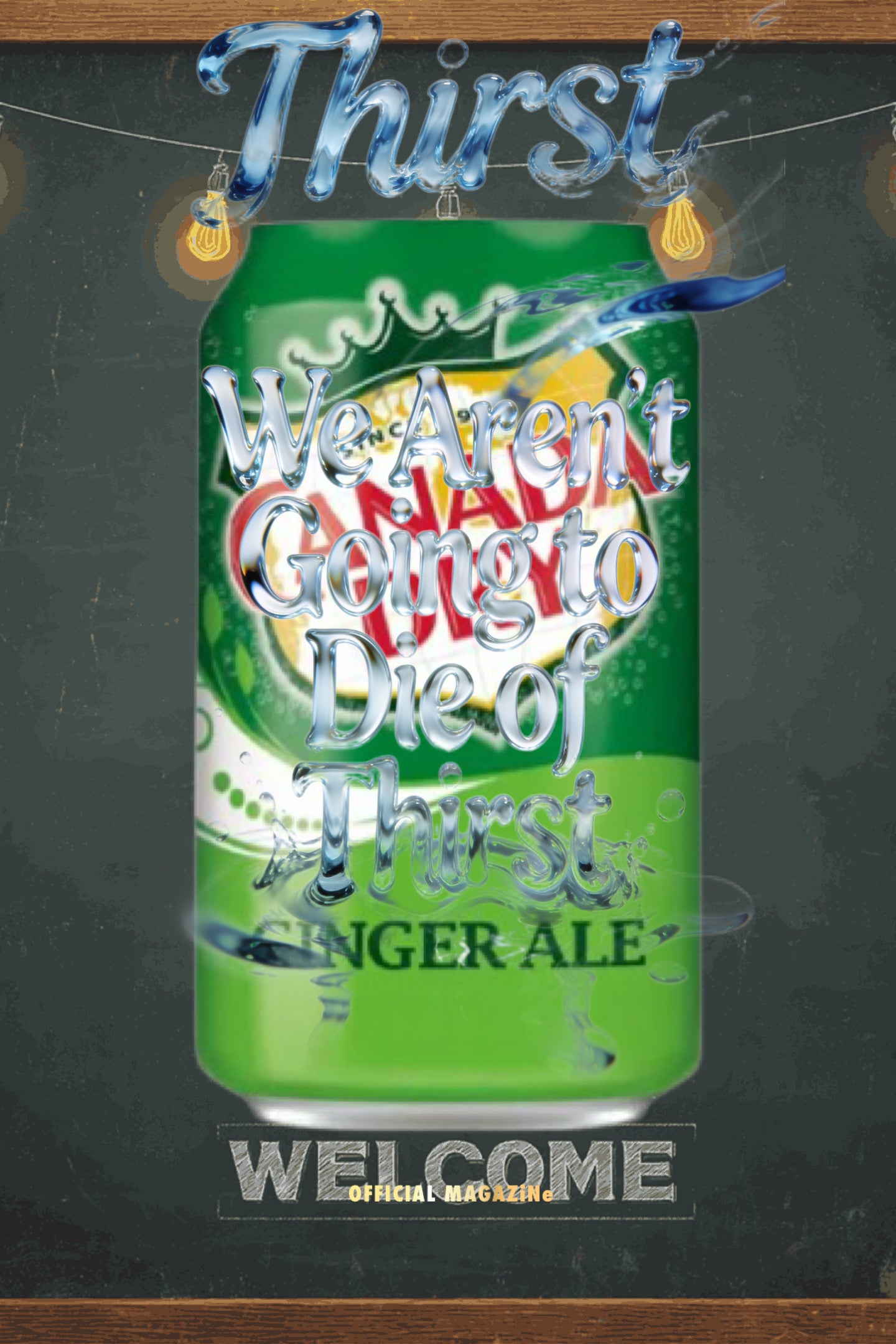 Canada Dry Ginger Ale